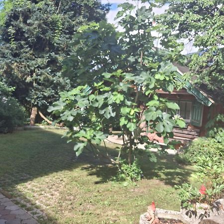 Ganzes Haus Mit Almcharakter Villa Lieserbrücke Dış mekan fotoğraf